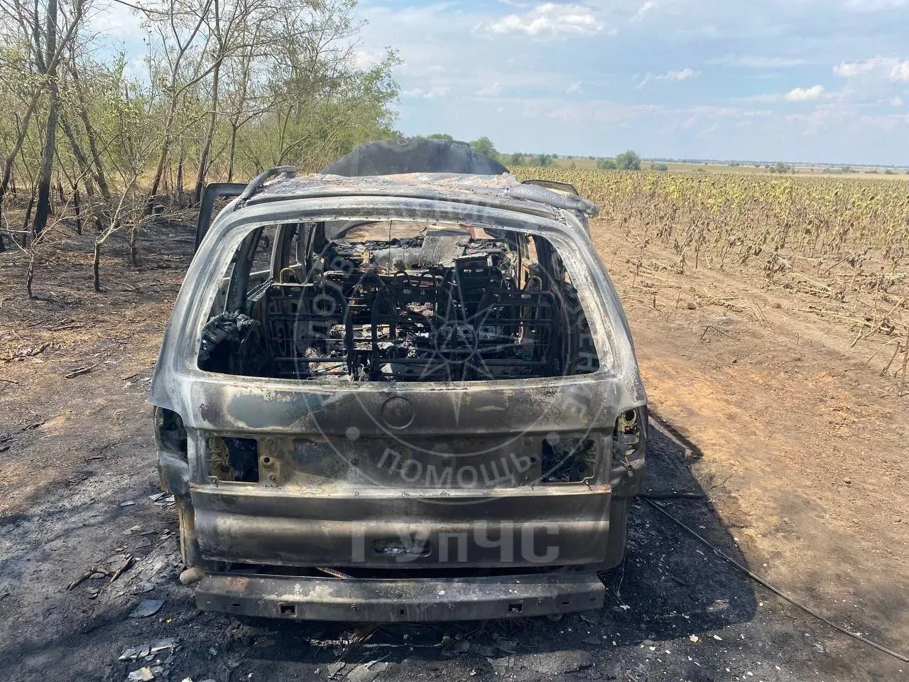 В Приднестровском регионе во время движения загорелся автомобиль