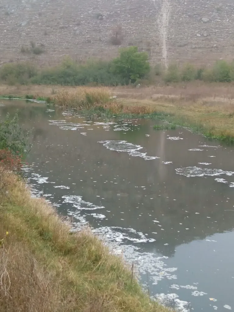 Река Рэут серьезно загрязнена фекальными и химическими отходами