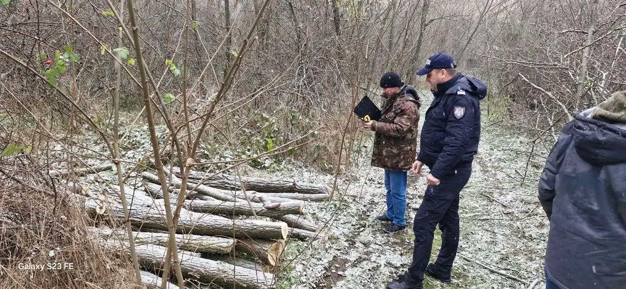 Un caz de tăiere ilegală a arborilor, depistat la Strășeni