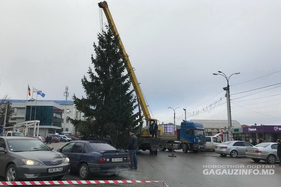 В Комрате установили 14-метровую новогоднюю ель