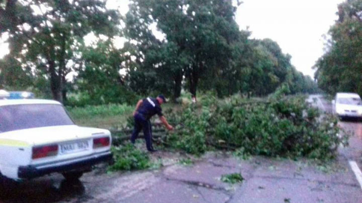 Furtuna de aseară a făcut prăpăd în mai multe raioane ale ţării