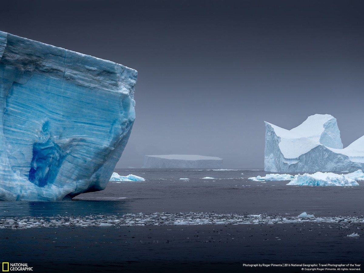 National Geographic показал лучшие фото природы