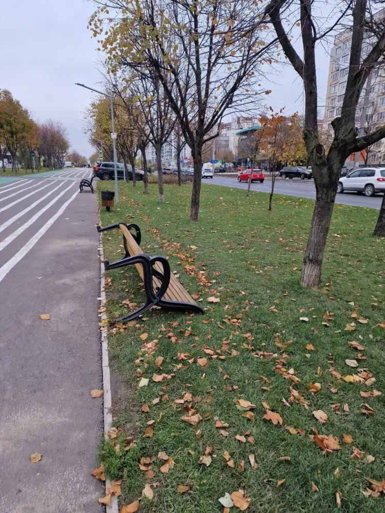 На Чеканах неизвестные перевернули скамейки на аллее