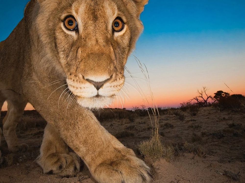 national geographic, фотосессия