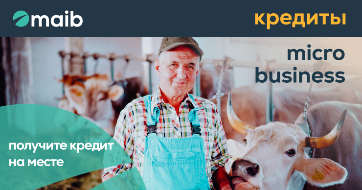 Maib: Кредит microbusiness – новая возможность для расширения бизнеса