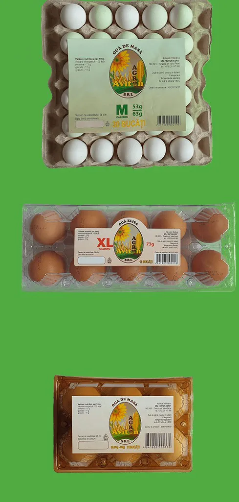 Инспекторы ANSA изъяли из торговли опасную партию куриных яиц