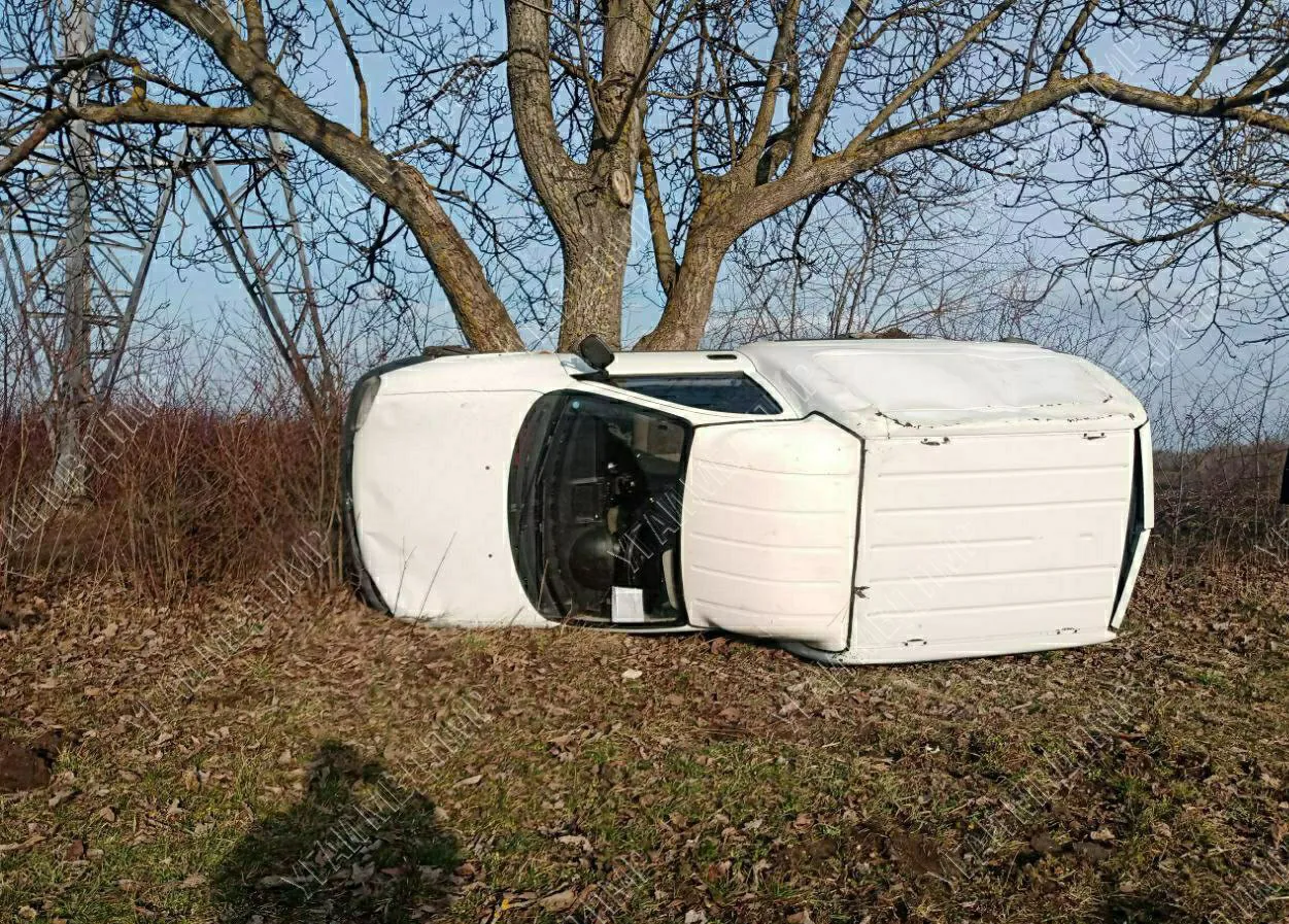 В Рыбницком районе произошло ДТП: автомобиль врезался в дерево