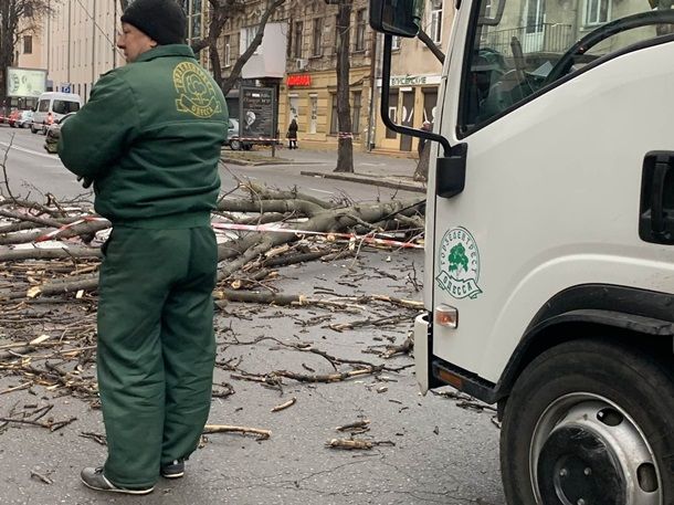 Ураган в Одессе повалил десятки деревьев