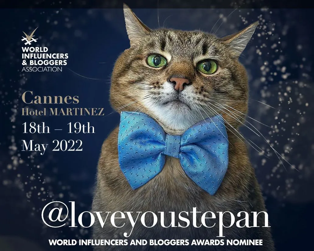 Кот-блогер Степан получил награду World Influencers and Bloggers Awards