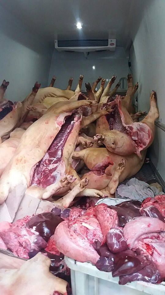 Задержан мужчина, перевозивший тонны свиного мяса без документов