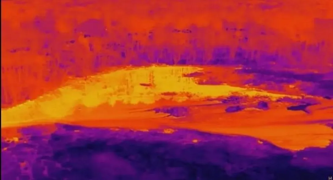Таинственное место Пакваджи: ученые заметили НЛО недалеко от Бостона