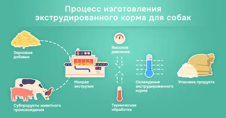 Terafix – натуральный и самый доступный корм для собак