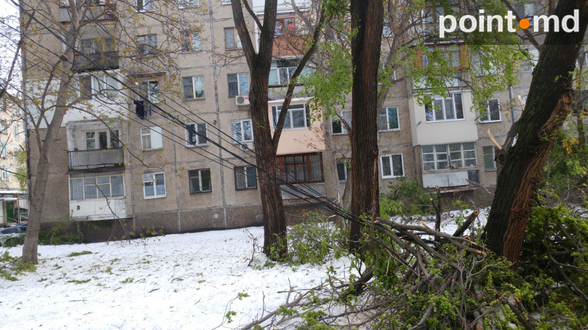 После разгула стихии Кишинев превратился в кладбище деревьев
