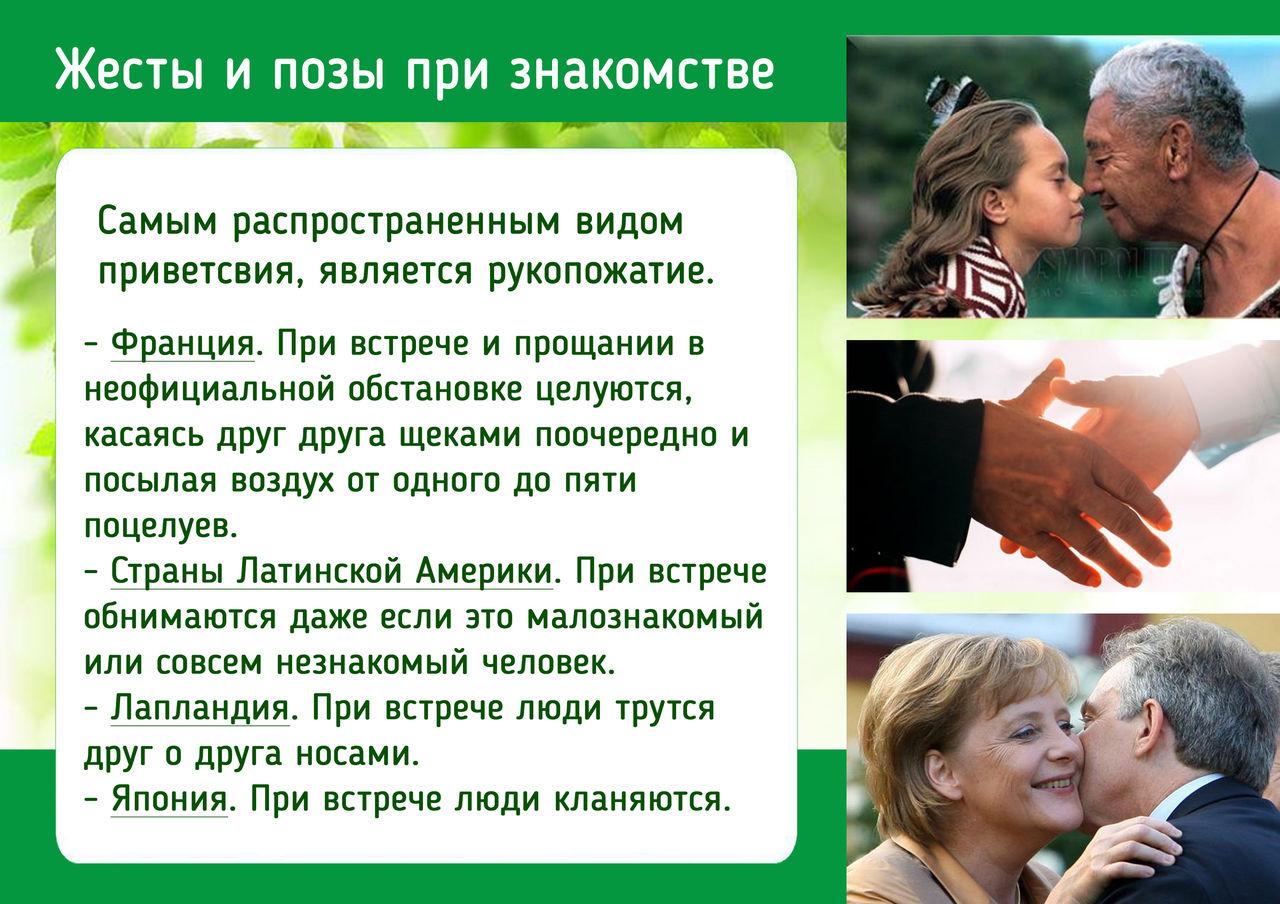 Insty - натуральный растительный препарат от простуды