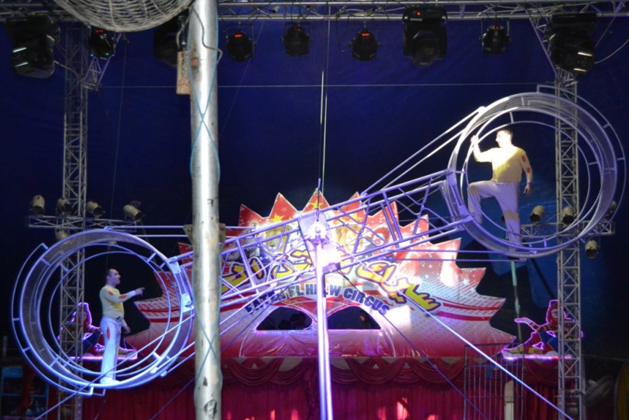 Весь август в Кишиневе цирк шапито Crocus Circus! ®