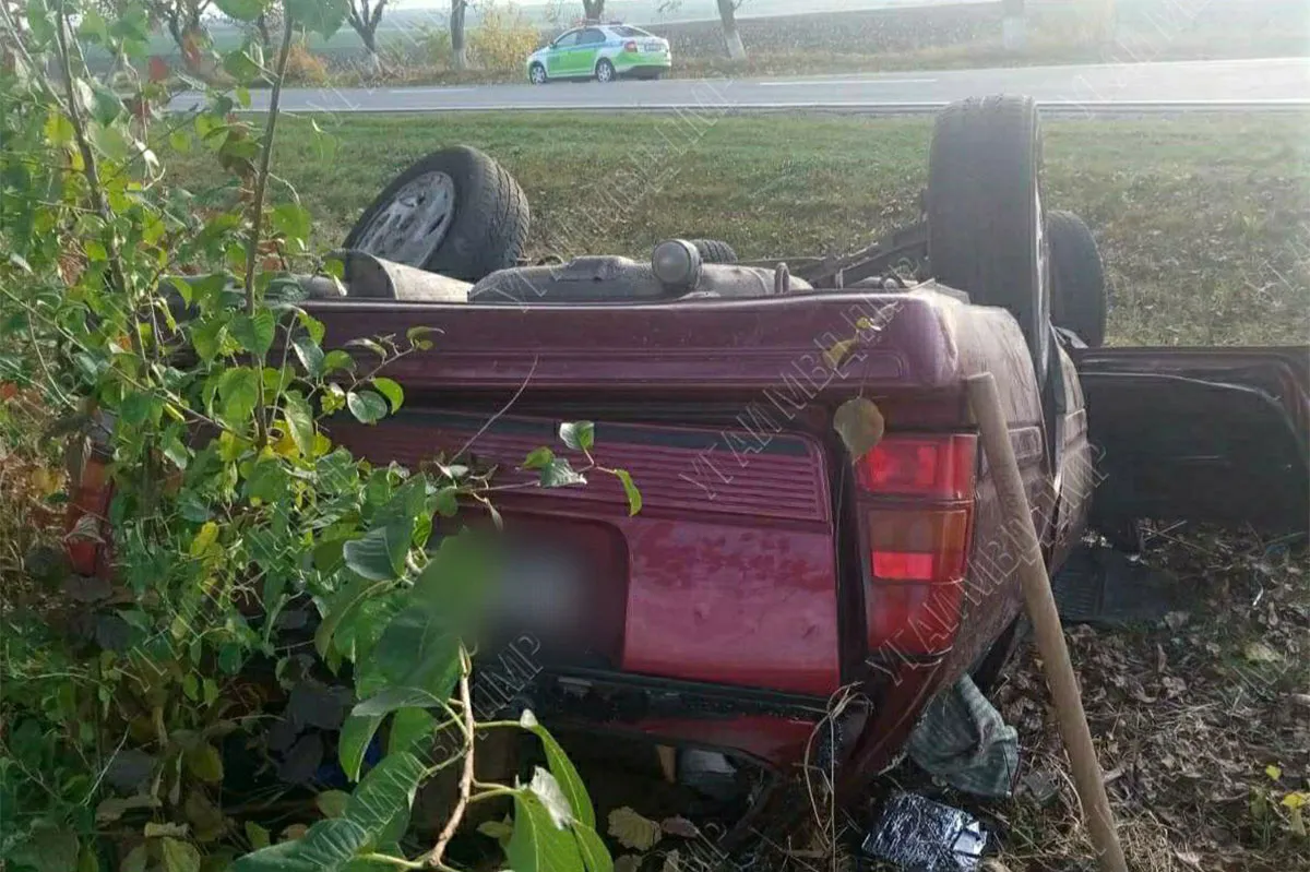 В Приднестровье машина врезалась в дерево