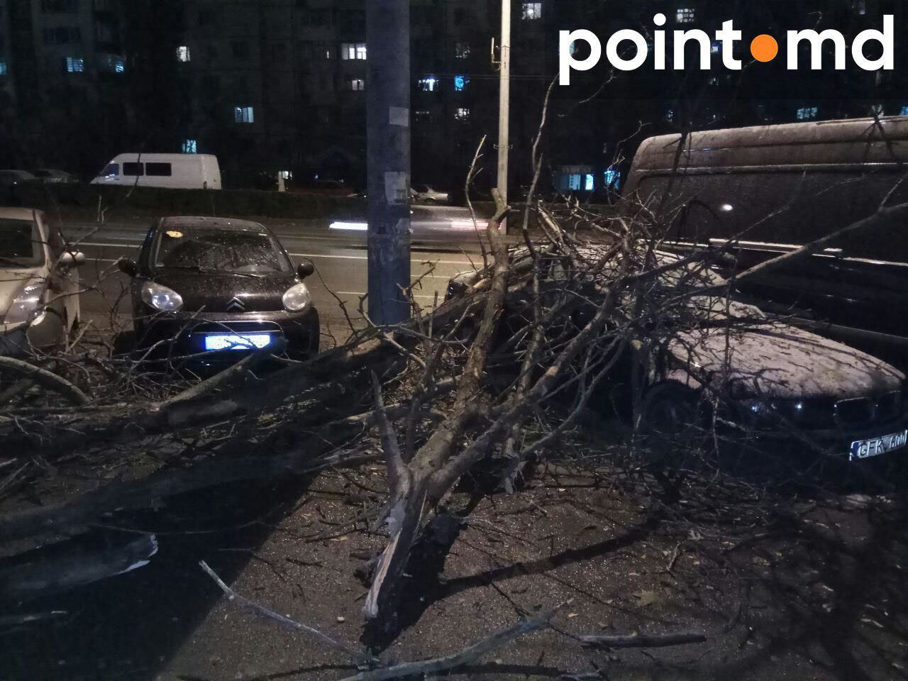 В Кишиневе дерево рухнуло на припаркованные автомобили