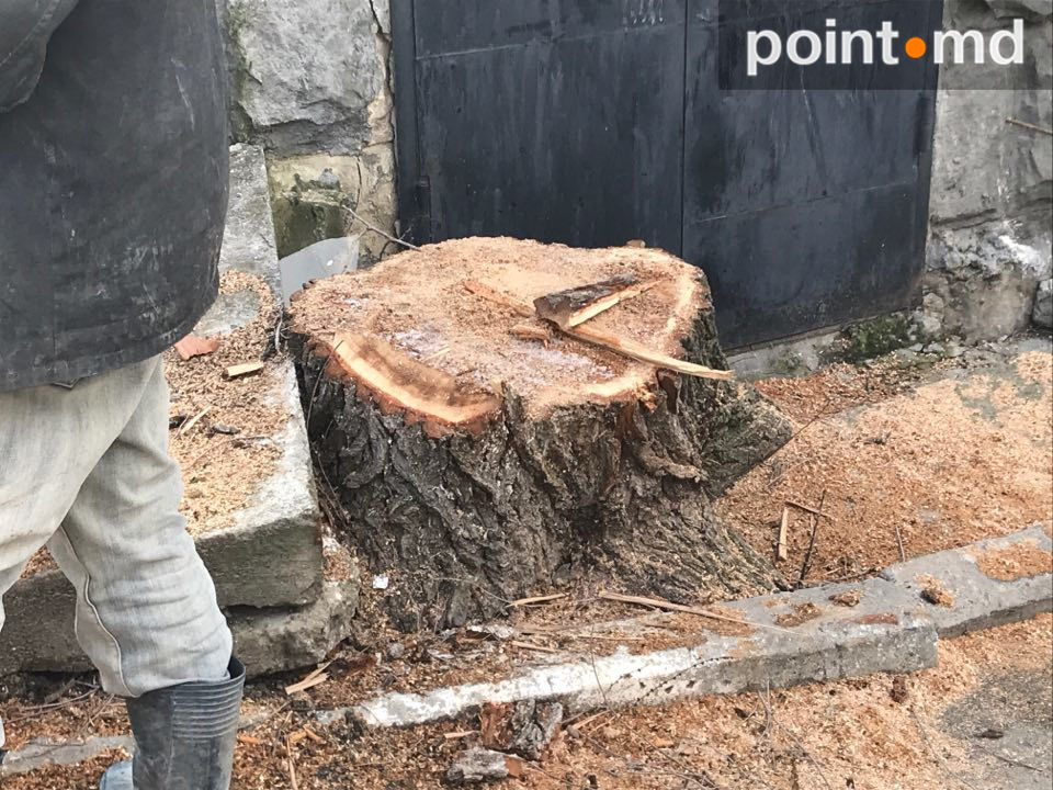 У жилого дома на Рышкановке началось строительство коммерческой пристройки