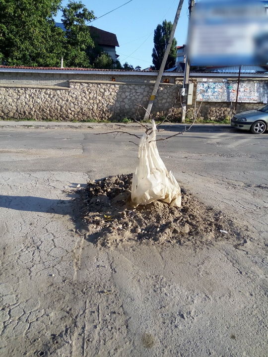 Imaginea zilei: Cum a fost reparată groapa din Durleşti în care a căzut un camion