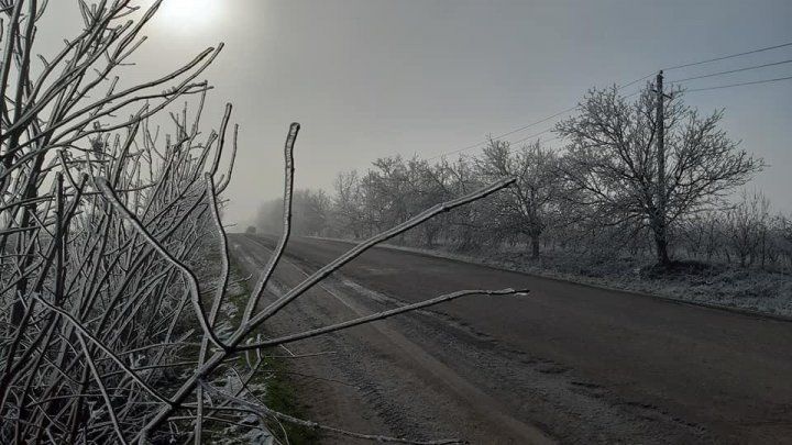 Зима на пороге: сказочные пейзажи запечатлели в Сорокском районе