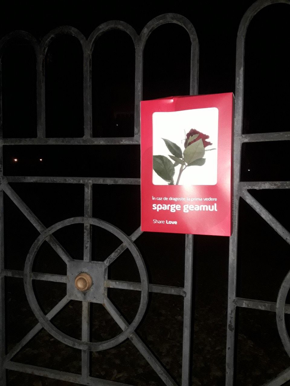Сотни красных коробок появились в Кишиневе ®