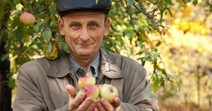 MAIB: AgroCredo - с доверием к сельхозпроизводителям ®