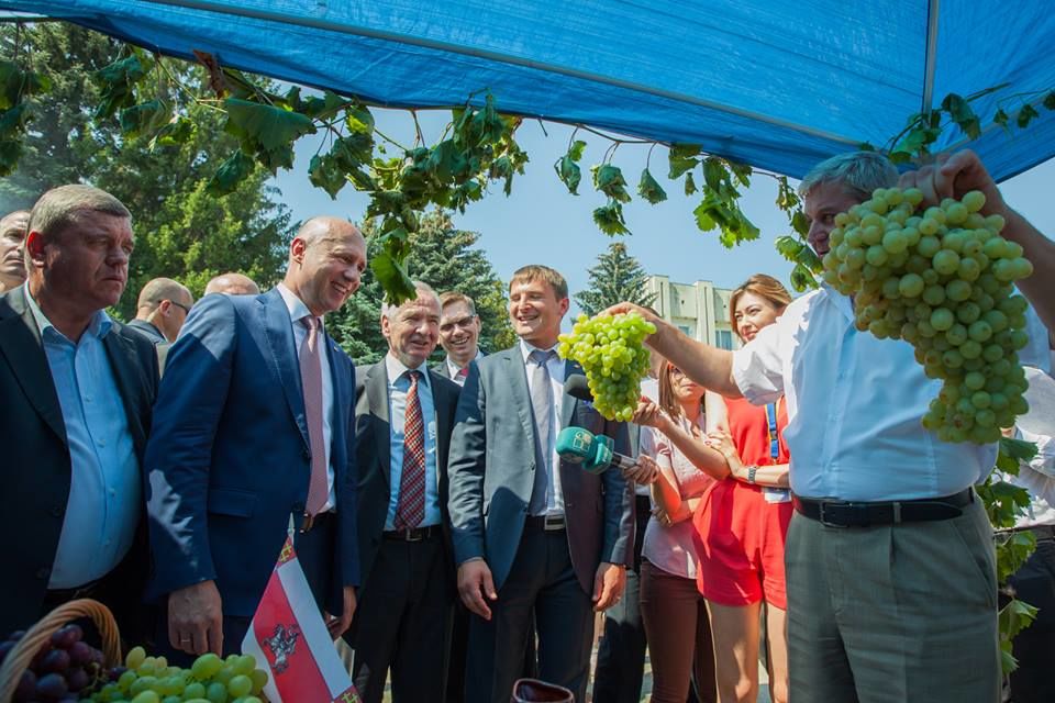 Premierul Filip îi îndeamnă pe moldoveni să consume struguri autohtoni