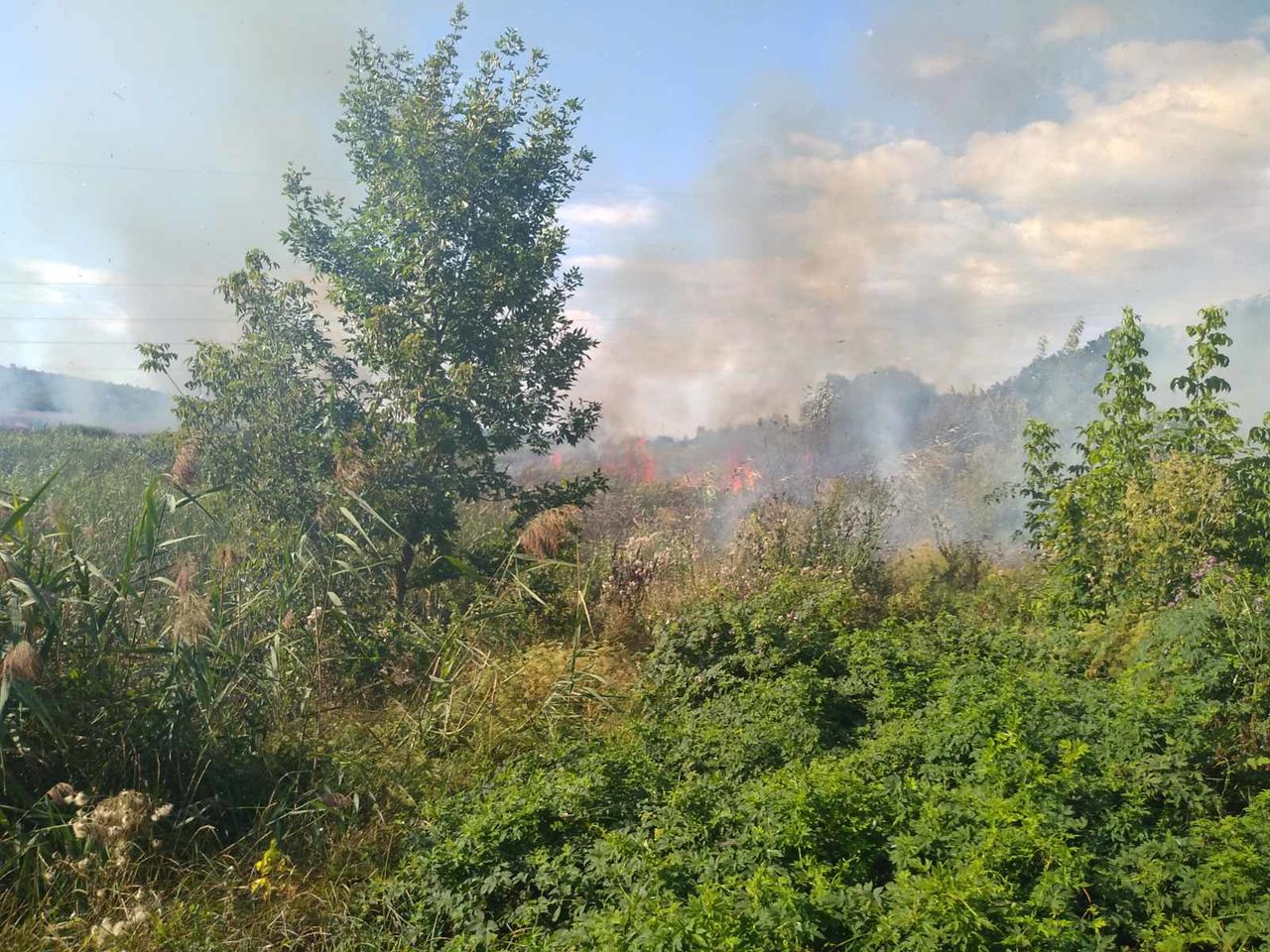 В Унгенах у железной дороги вспыхнул пожар