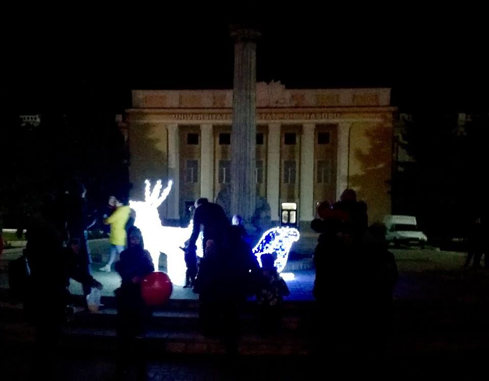 В Кагуле установили рождественскую елку