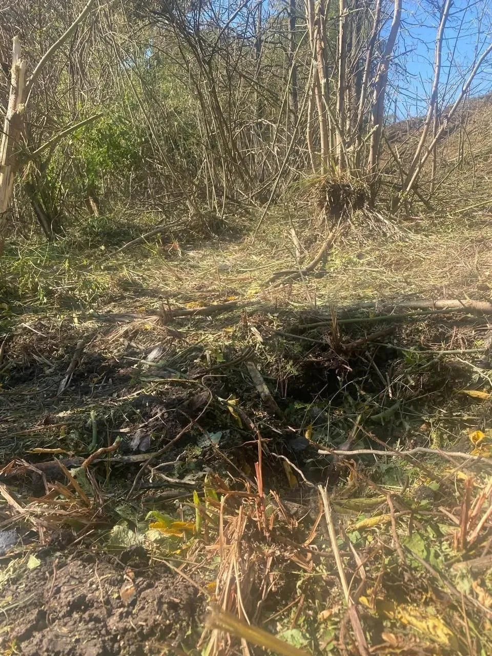 Zona din Parcul Național Orhei, izolată după explozia unei drone. Fragmentele nu au fost ridicate