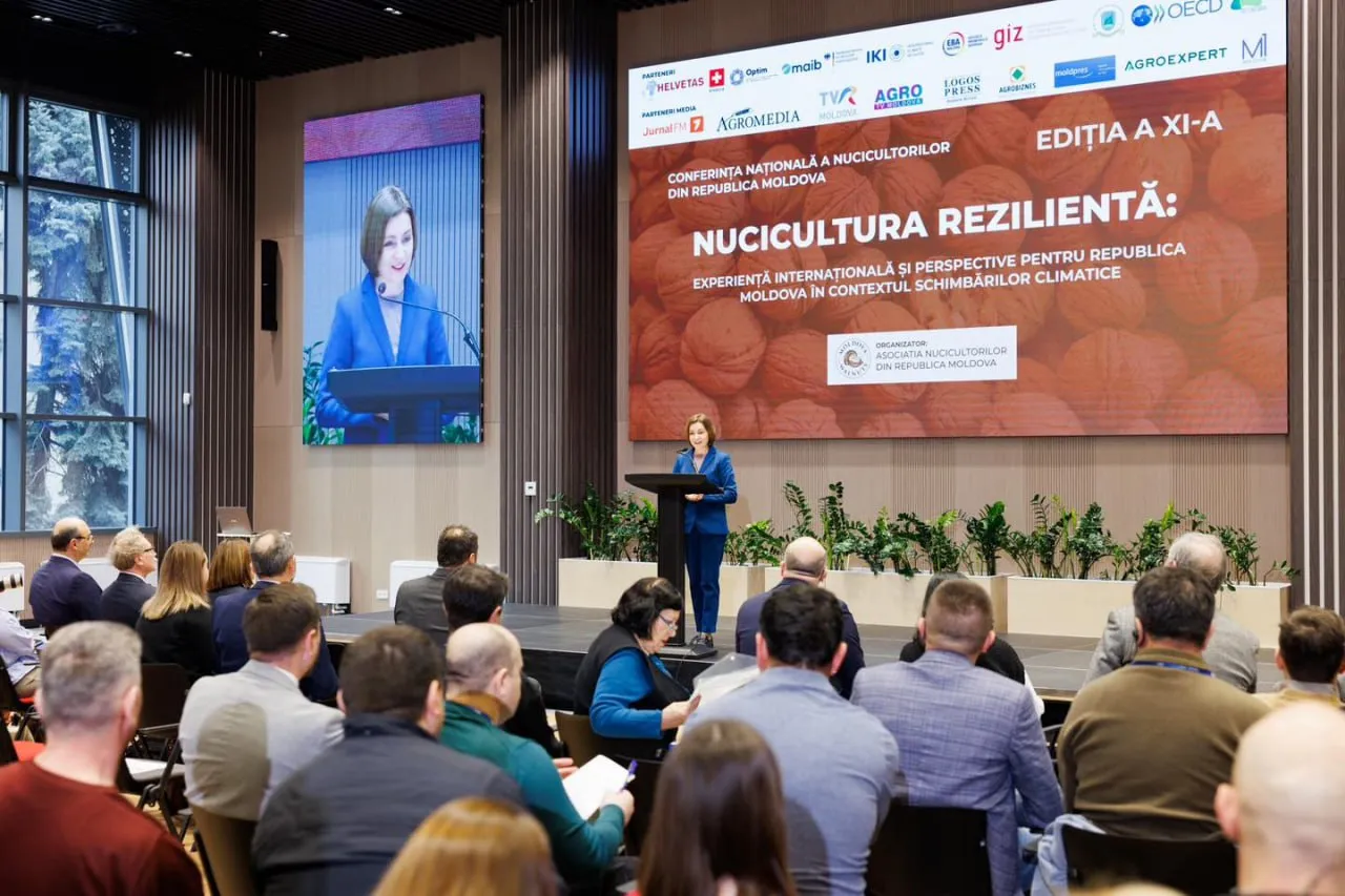 Moldova, printre primii 10 lideri mondiali în exportul de nuci