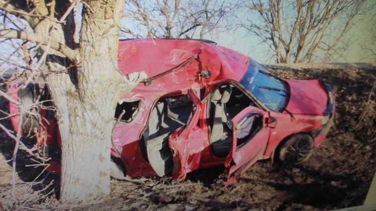 В Фалештском районе автомобиль с тремя пьяными мужчинами врезался в дерево