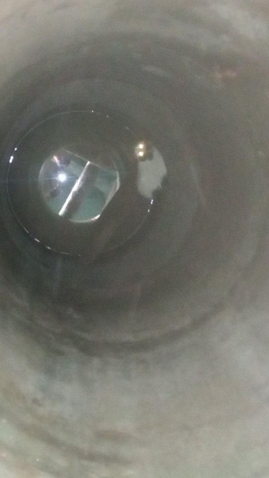В Каушанах спасли кошку, упавшую в колодец