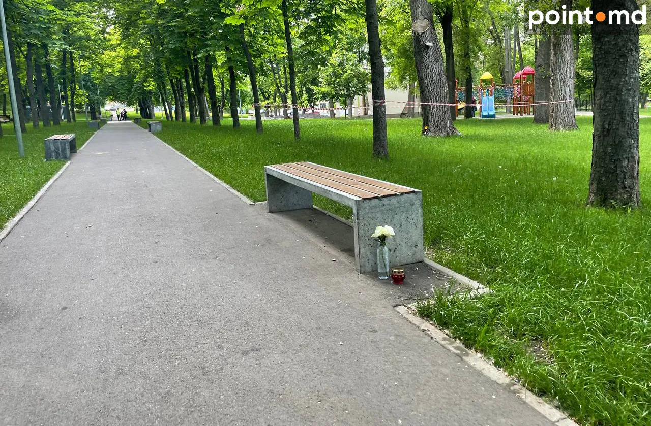 В парке "Алунелул" сухое дерево до сих пор нависает над детской площадкой