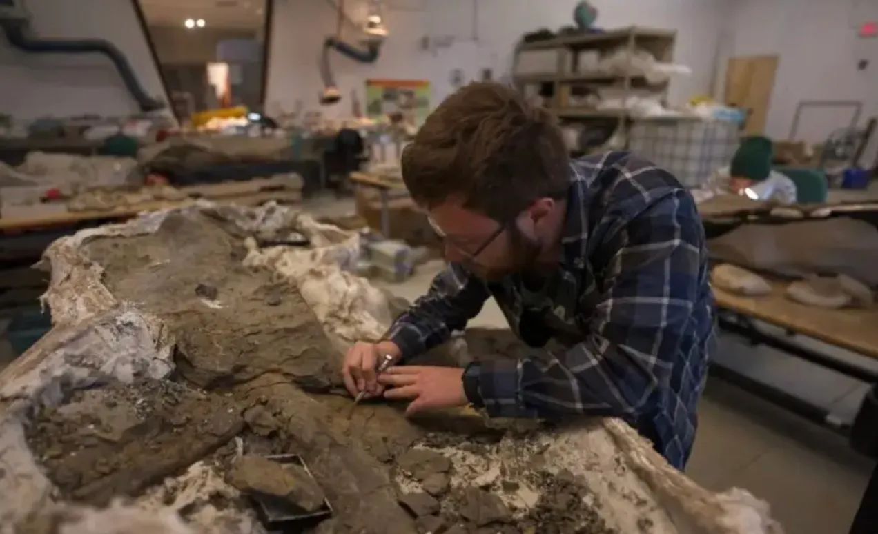 Oamenii de știință sunt mai aproape de rezolvarea misterului îngropării masive a dinozaurilor la Râul Morții