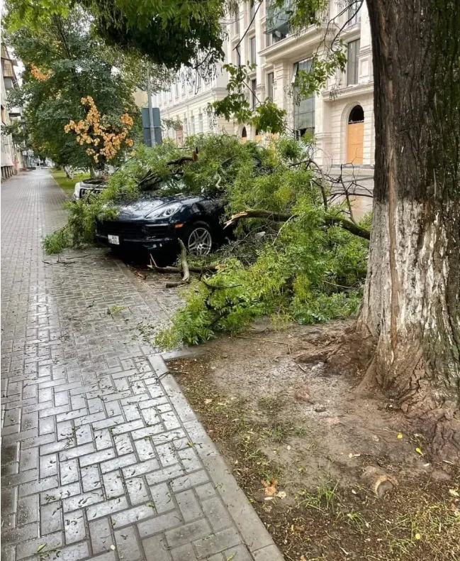 Из-за непогоды в столице были повалены деревья, улицы затоплены