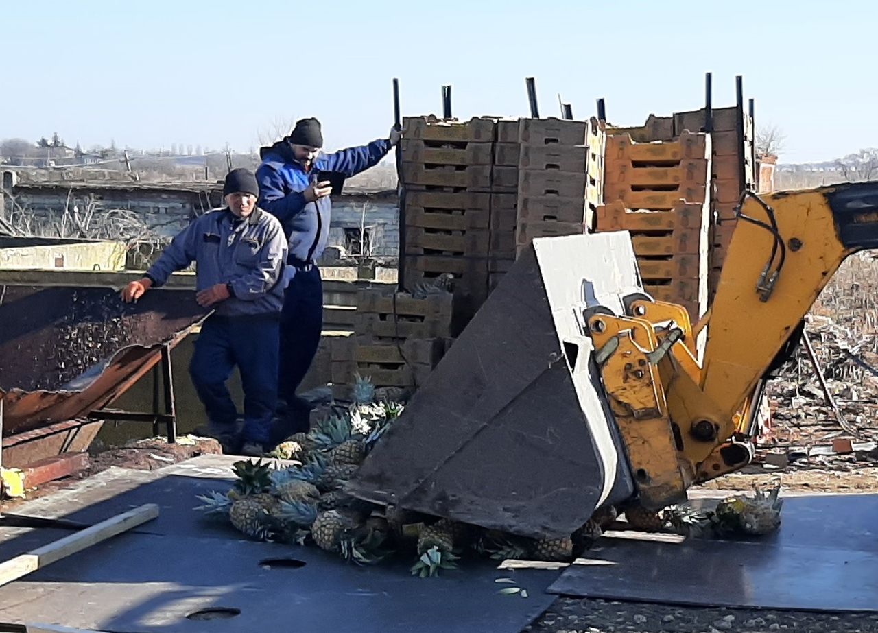 Почти три тонны ананасов в Молдове пришлось утилизировать из-за высокого уровня пестицидов