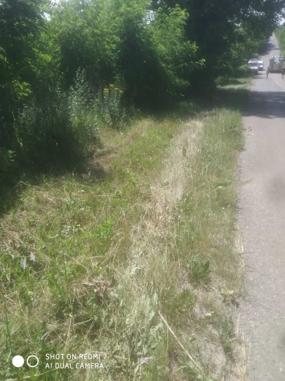 В Сороках автомобиль врезался в дерево, водитель скончался