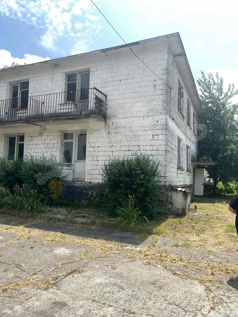 Viitorii biologi se plâng că fac practică în condiții inumane