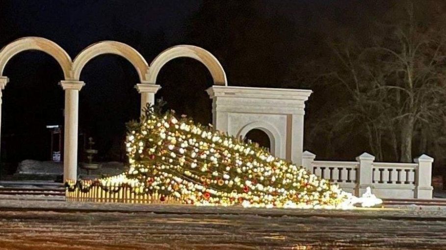 "Елкопад" в Украине: в нескольких городах ветер повалил главные новогодние деревья