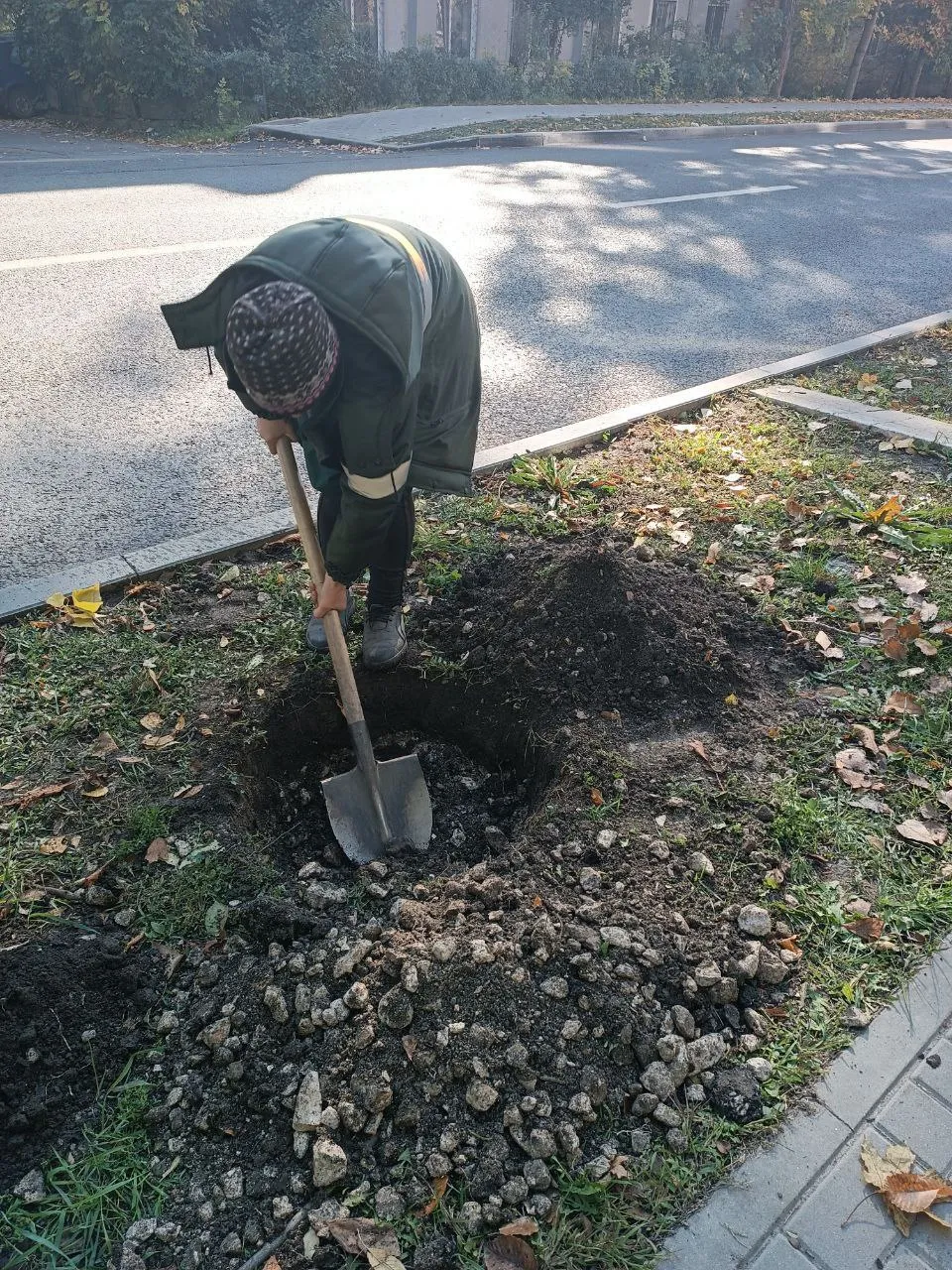 Campania de plantare continuă: Mii de arbori și arbuști vor fi sădiți în Capitală