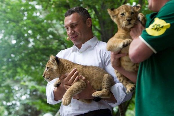 Кличко со львенком на руках показал, каким будет киевский зоопарк