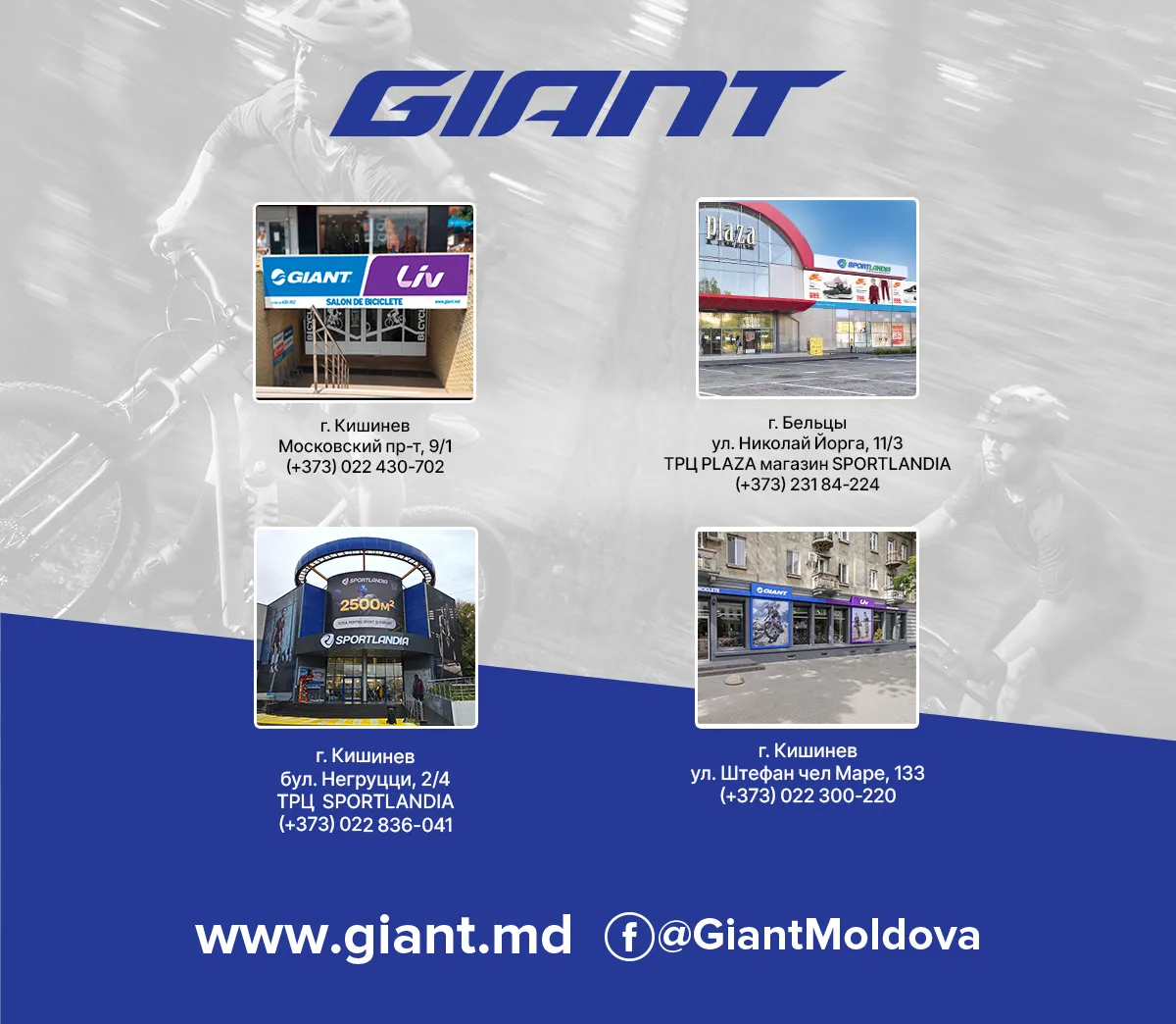 Giant: В Black Friday скидки до 60%