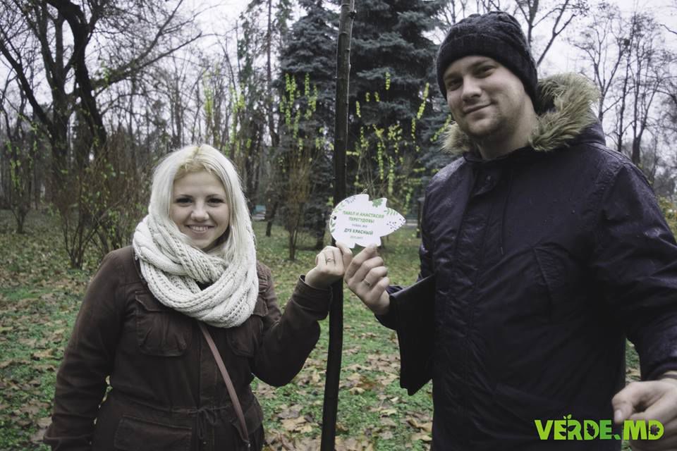 Verde.md: Totalurile primului sezon de plantare
