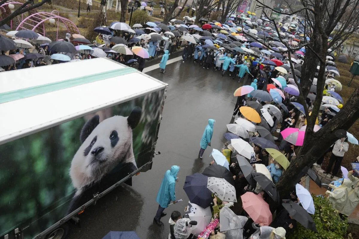 Тысячи корейцев эмоционально попрощались с пандой Фук Бао, уезжающей в Китай