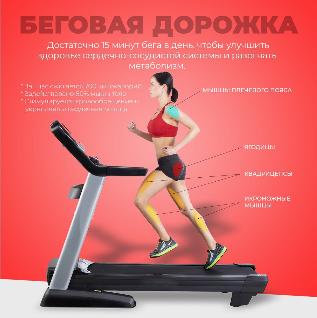Giant: Новогодние скидки на спортивные тренажеры