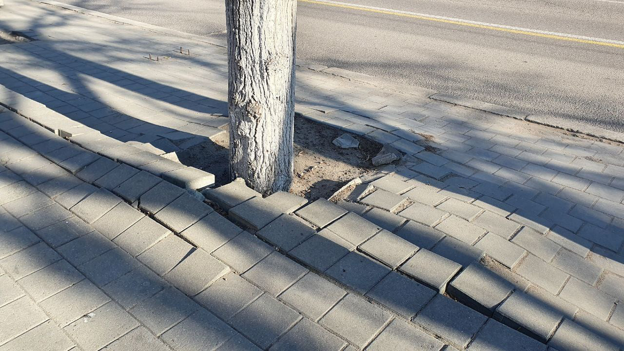 На Рышкановке возобновлен ремонт тротуаров