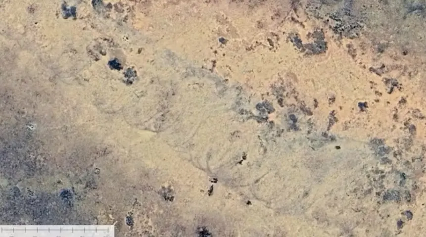 Un cercetător Google Earth a observat o amprentă ciudată în deșertul australian