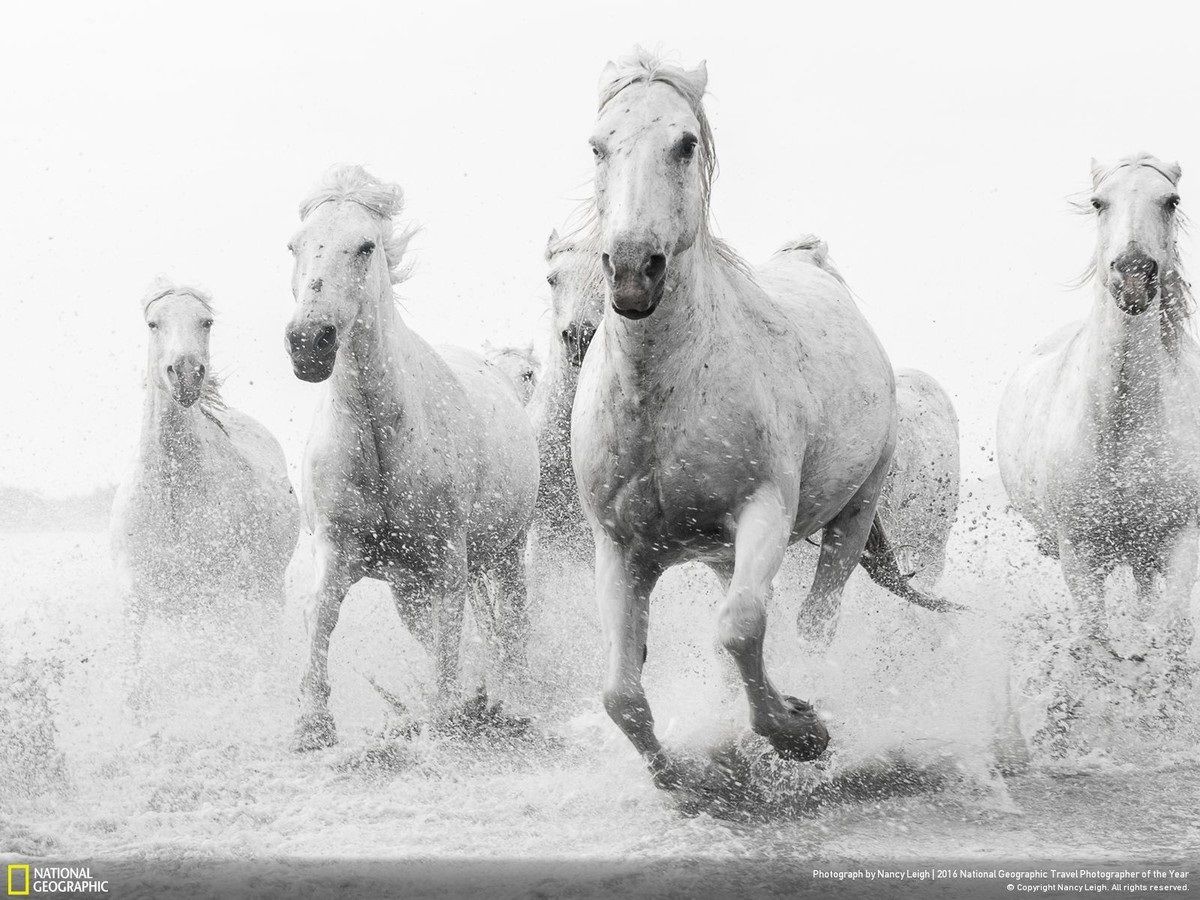 National Geographic показал лучшие фото природы