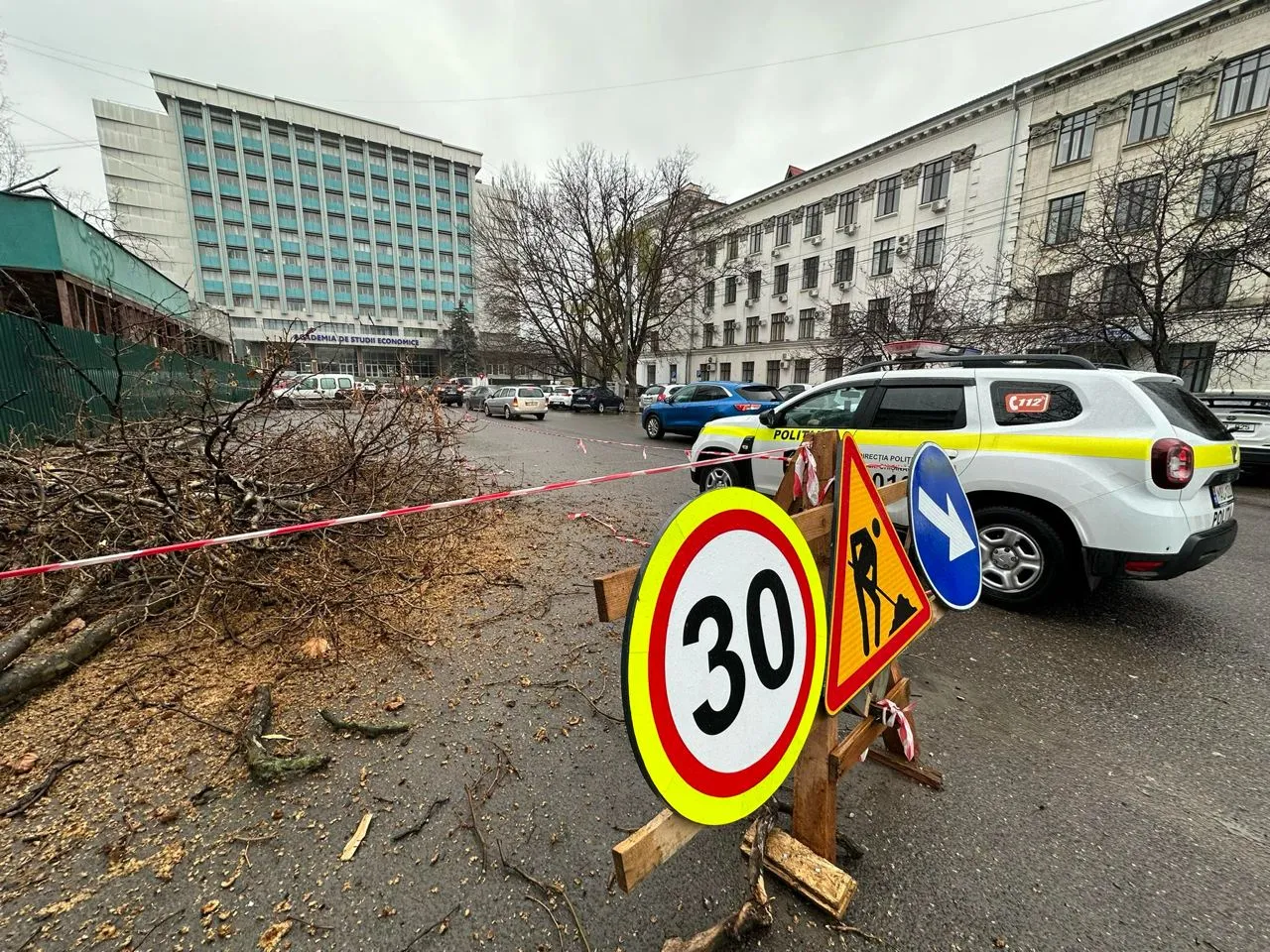 В центре Кишинева возле кафе срубили платаны: власти проводят проверку